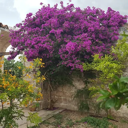 Masseria Palombara Grande Bed & Breakfast Ostuni