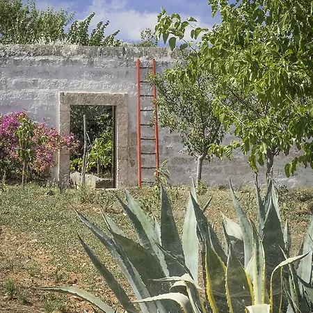 Bed & Breakfast Masseria Palombara Grande