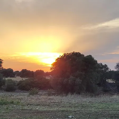 Masseria Palombara Grande B&B 3*